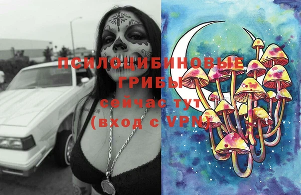 ALPHA PVP Беломорск