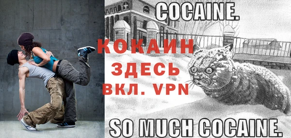 мяу мяу мука Белокуриха