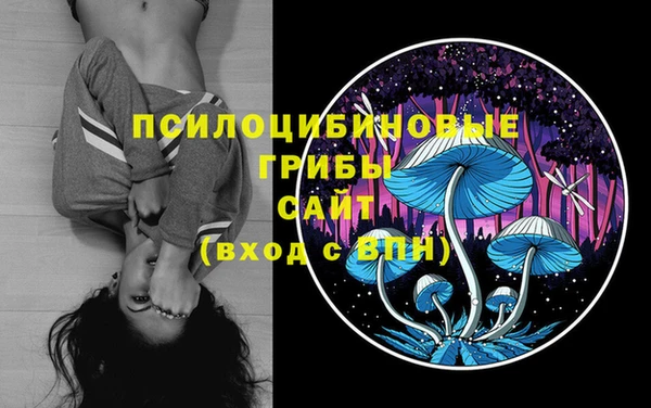 прущие крисы Белоозёрский