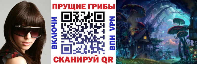Псилоцибиновые грибы Psilocybe  omg ССЫЛКА  Коммунар 